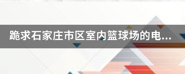 肃宁县体育馆篮球训练营电话